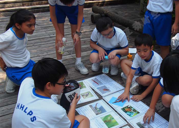 营地教育:让孩子们在经历中收获成长 营地教育:让孩子们在经历中收获成长